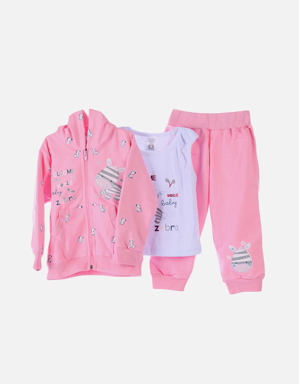 Conjunto sudadera bebé niña