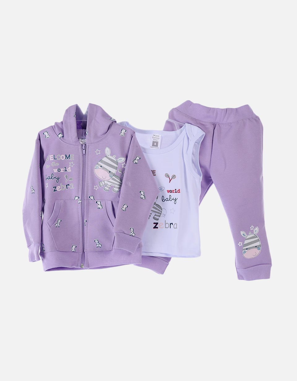 Conjunto sudadera bebé niña